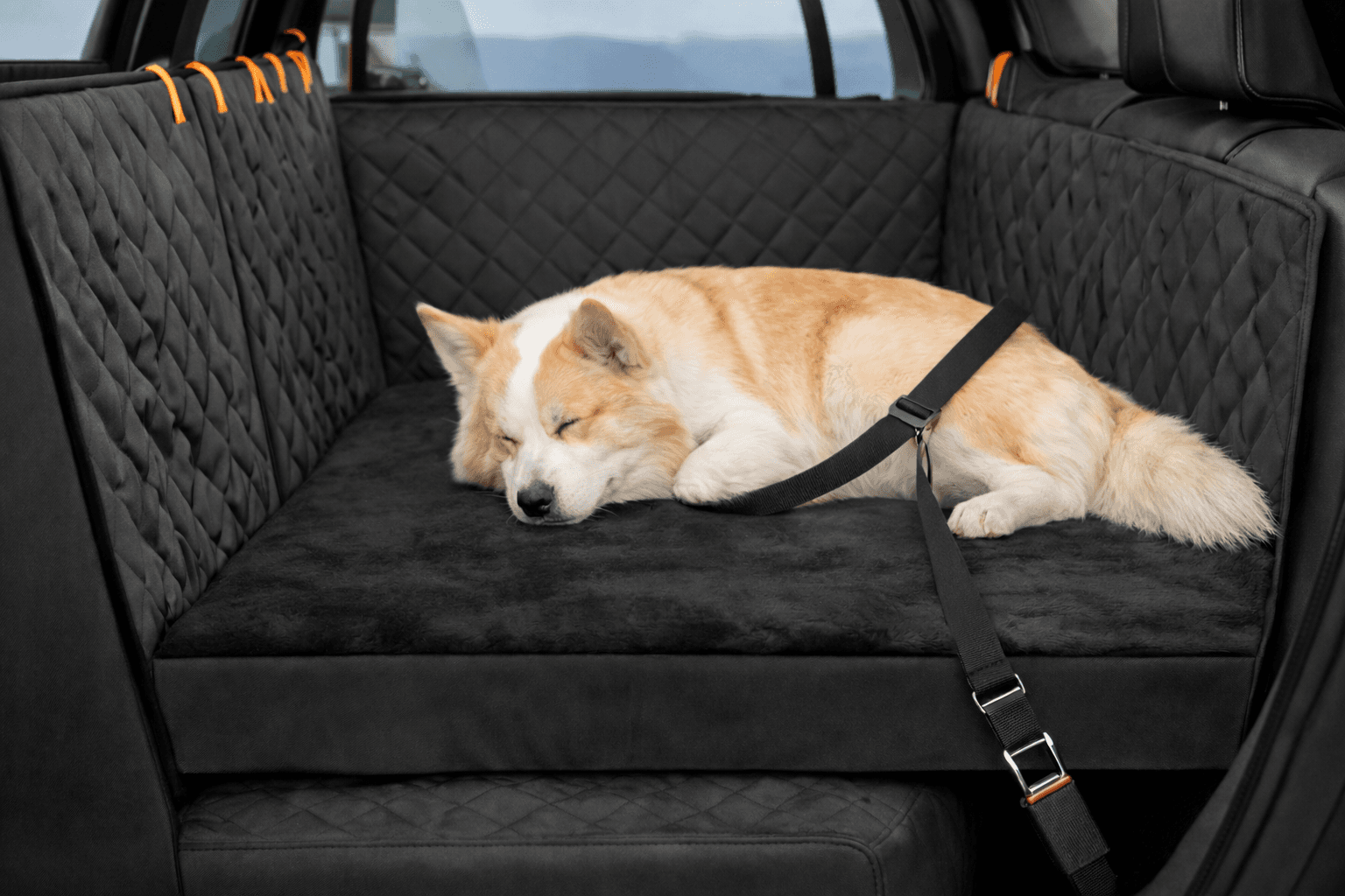 Glad hund i bil med Komfort pakken