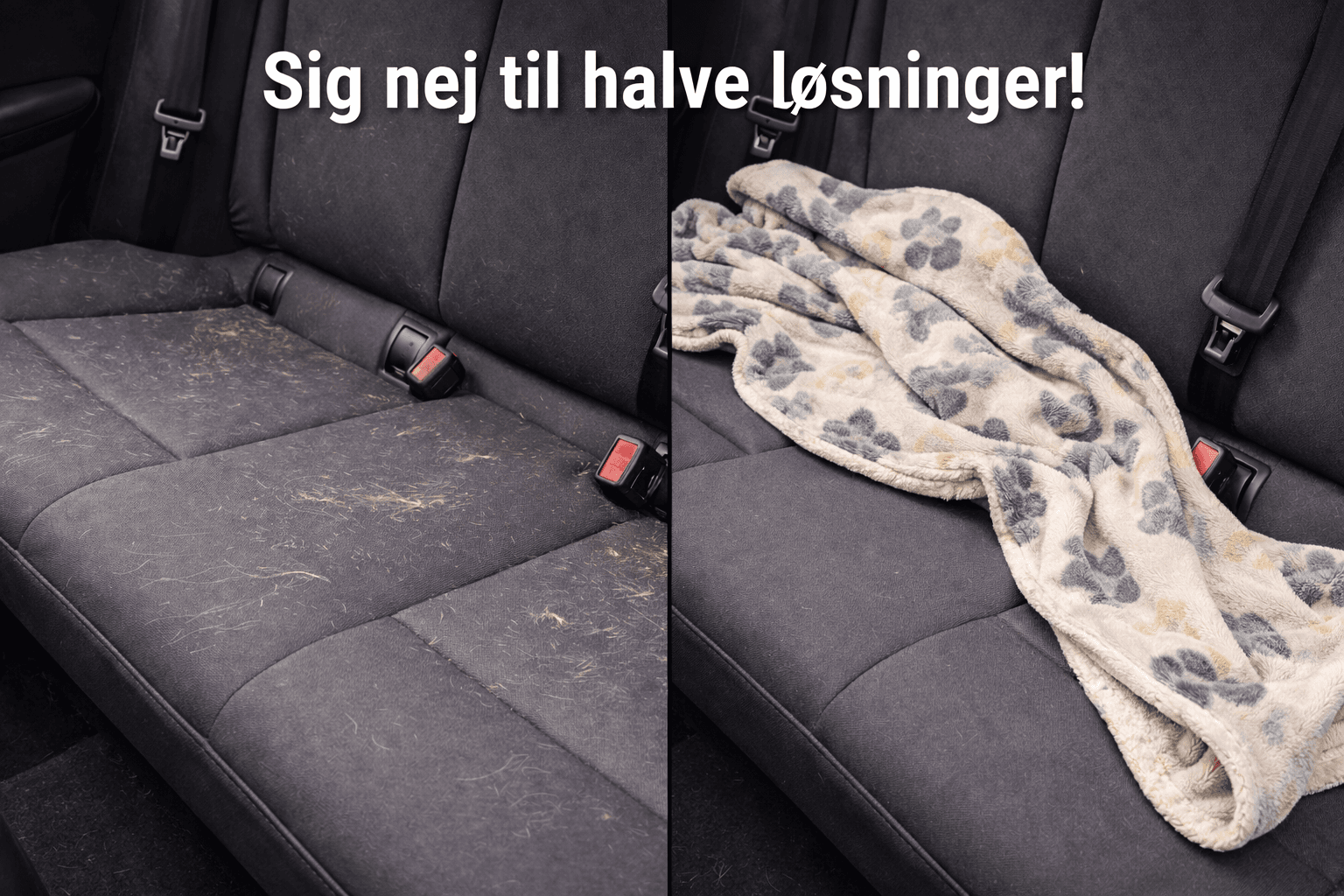 Bagsædebeskytter til hund i bil - billede 7